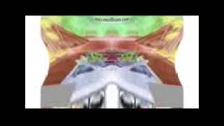 Reupload Low Quality 144P The Gummy Bear Song - Long English Version In G Major 59