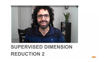 Supervised Dimension Reduction | Random Forest | Brute-force Computational Dimension Reduction