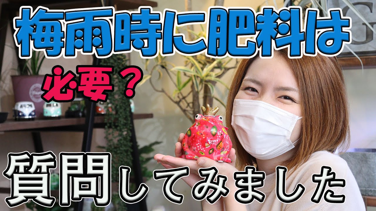 梅雨の時 肥料 必要 固形肥料 液体肥料 おうちでガーデニング 開花園チャンネル Youtube