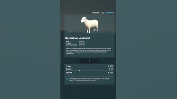 So geht die Schafzucht im LS22 FS22 🐏 #shorts Landwirtschaftssimulator22 Farmingsimulator22