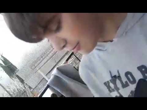 როგორ ვასწავლოთ ძაღლს დაჯდომა