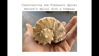 Constructing the Fibonacci - Understanding Nature's Spiral - with a Compass and Graph Paper