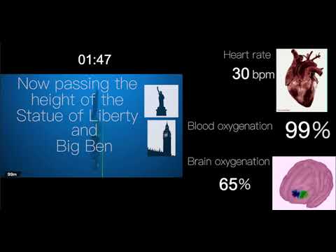 Έρευνα: Οι καλύτεροι ελεύθεροι δύτες «σβήνουν» την καρδιά τους με 11 παλμούς το λεπτό