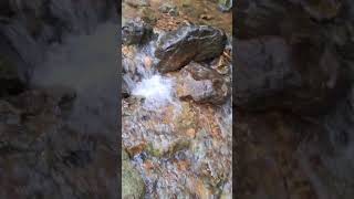 Water Sounds #naturesounds #nature #shortvideo