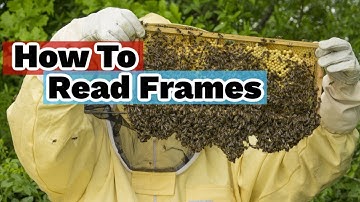 Bijenhouden | Geavanceerd raamlezen: veelvoorkomende problemen oplossen