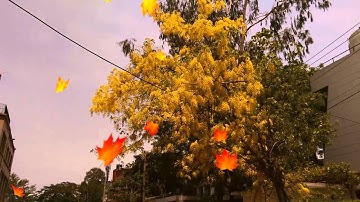 Feature overview: HTC One (M8) Duo Camera 