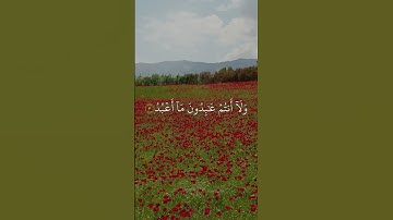 سورة الكافرون كاملة | تلاوة خاشعة بصوت فارس عباد 🎧