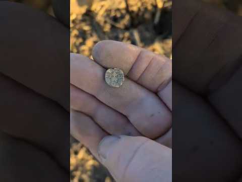 WHAT A STUNNER, a 50 B.C Gold Stater #metaldetecting #viralshort #coins #garrettmetaldetectors