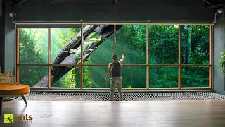 Thumbnail for The Coming of My Next Giant Ecosystem Vivarium