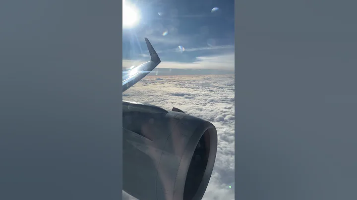 Awesome flight view ✈️ #aviation #vlog #shorts #travel