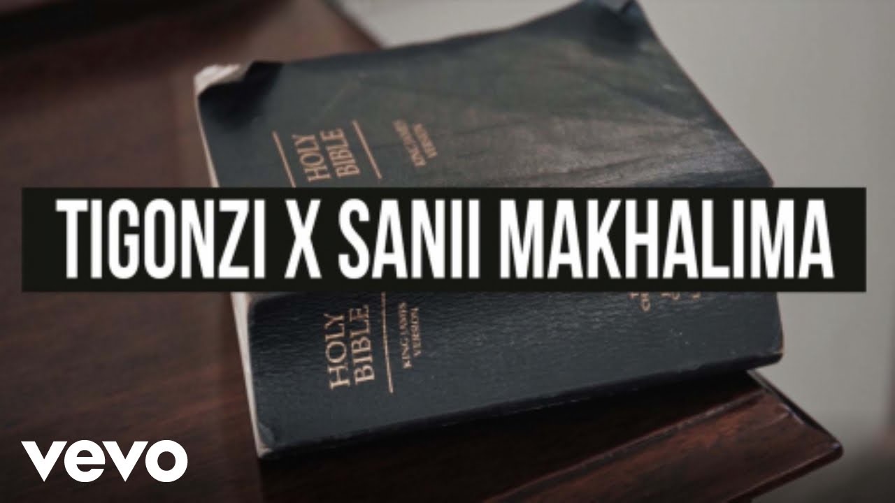 Ti Gonzi, Sanii Makhalima - Devil is A Liar