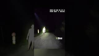 Felon Fires Flare Gun, Throws Cash, and Strips on Highway 19