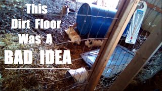 Meat Rabbit Colony Dirt Floor Update | My Plan Doesn't Work :(
