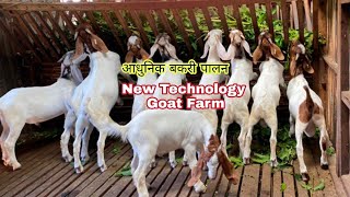 बकरी पालन की महत्वपूर्ण जानकारियां || Advance Technology of Goat farming || @GoatFarming