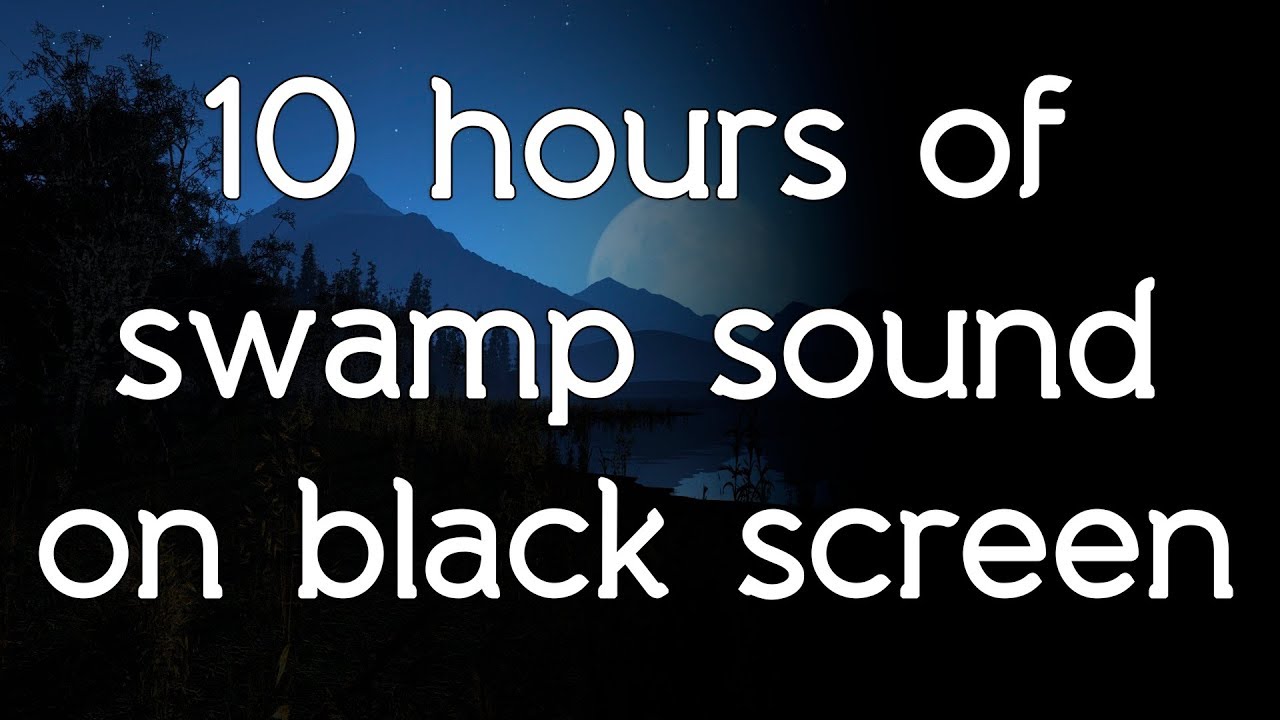 🎧 Swamp sounds swamp sound on black screen dark screen white noise HQ