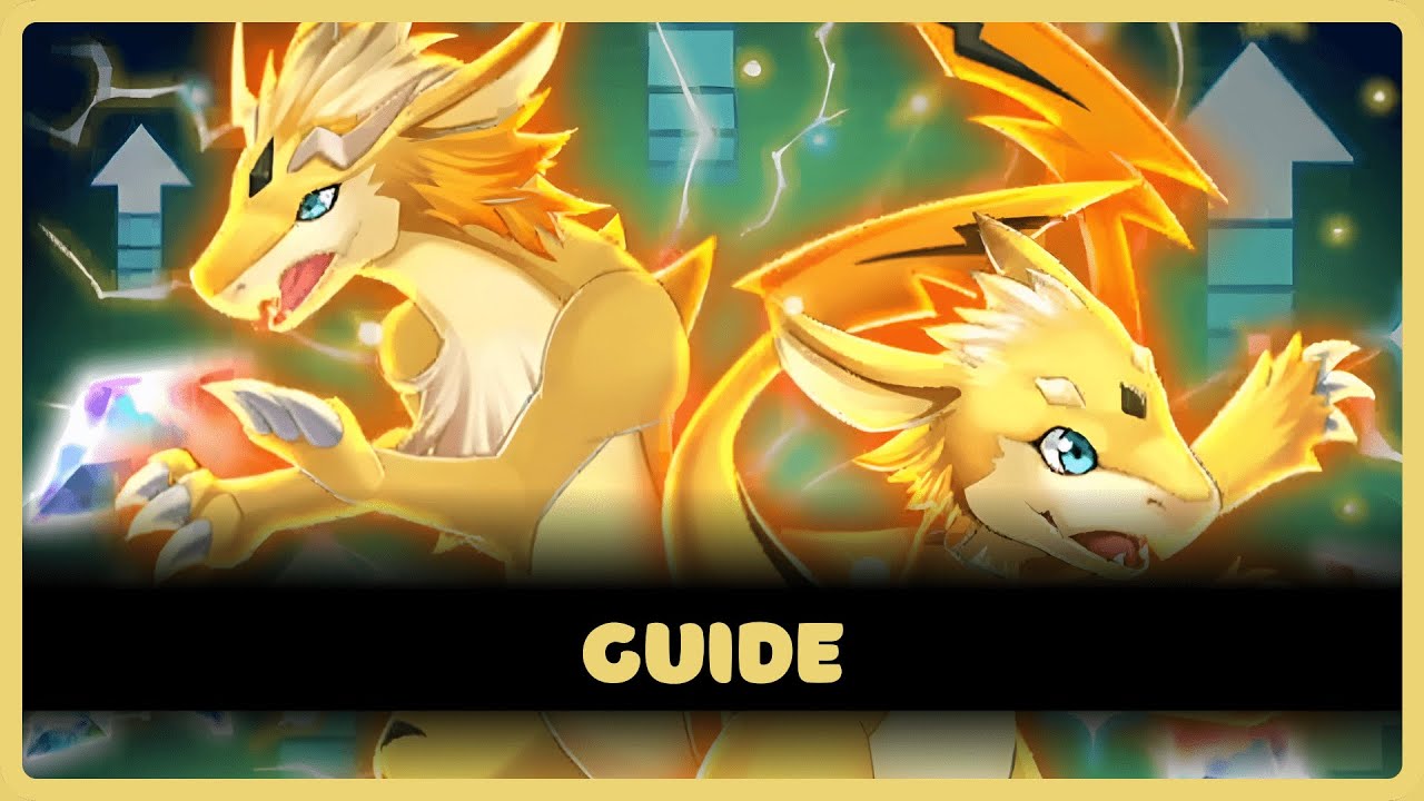 Training Dojo Stage 12 Gameplay Guide | Evertale