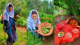 الحياة الريفية في القرية/الطبخ في الطبيعة/قطف الكوسة الطازجة و تحضير كوسة محشية  مشوية على الجمر