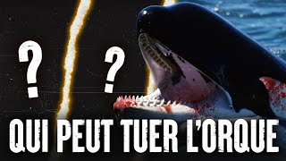 5 ANIMAUX qui pourraient VAINCRE un ORQUE