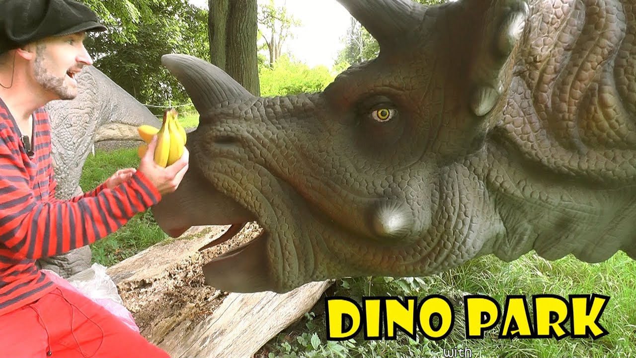 tricerasnot eh triceratops  dino park  fun dinosaur