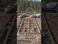 Building A Luxury Forest Mansion From Scratch 🪵🏗️ | #Shorts #Satisfying #Construction