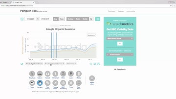 Panguin Tool Orientation