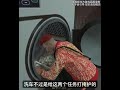 夏季DLC更新的新资产冤种洗车行 #steam游戏 #我的游戏日常 #游戏 #r星 #r星出品