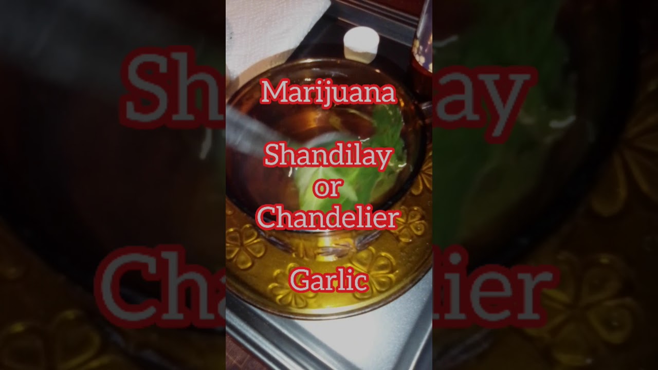 JUNIOR SAWIC SALUTE NAZMA MULLER