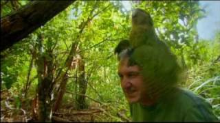 Harry Hill's TV Burp - The Kakapo - 10/10/09