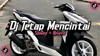 Dj Tetap Mencintai ( Slowed & Reverd )🎧