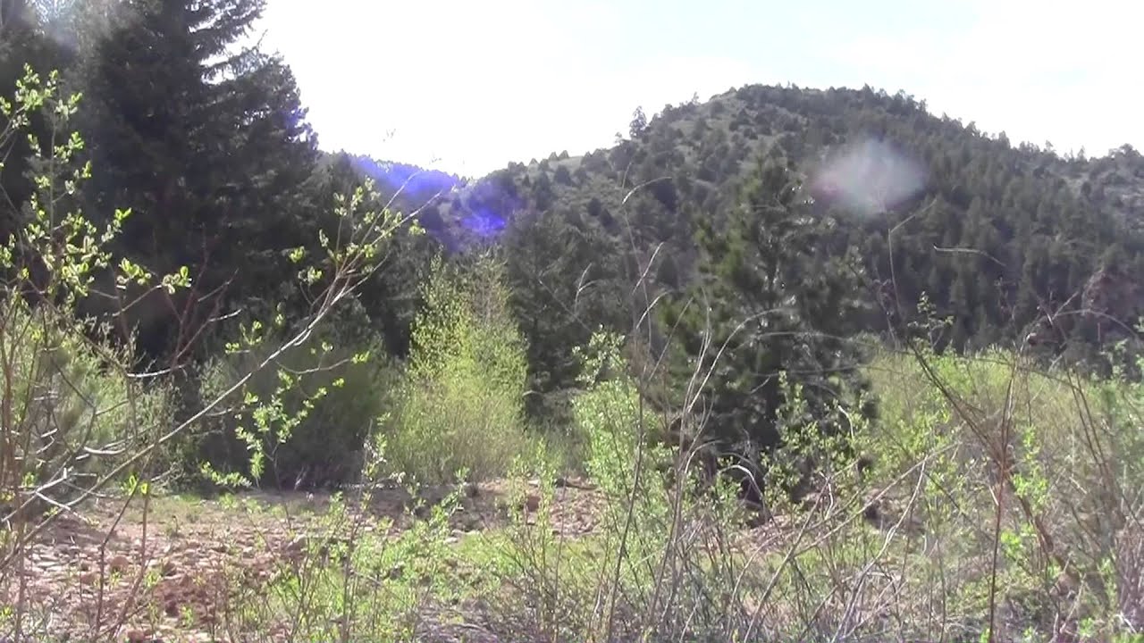 Mountain Adventures with Paul Tokin!