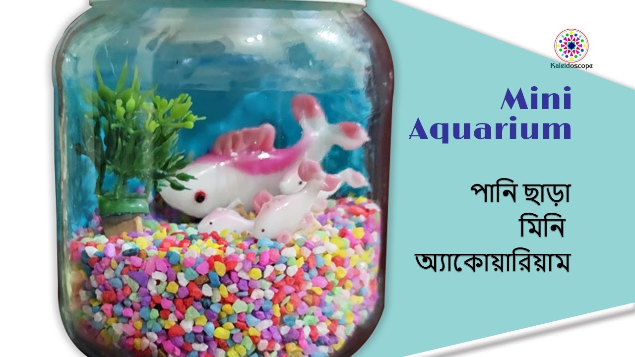 Mini Aquarium - পানি ছাড়া মিনি অ্যাকোয়ারিয়াম