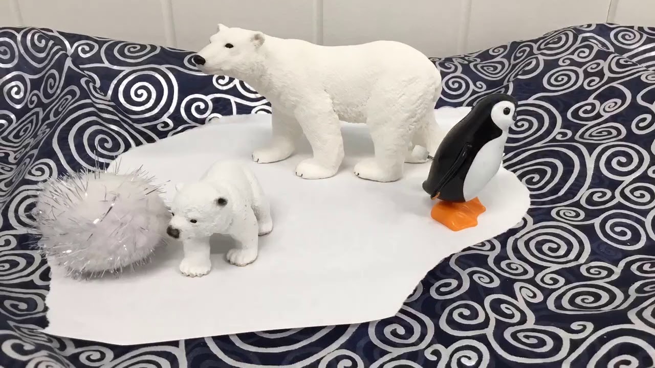 There Is No Planet B Mystate Student Film Festival 2019 Youtube