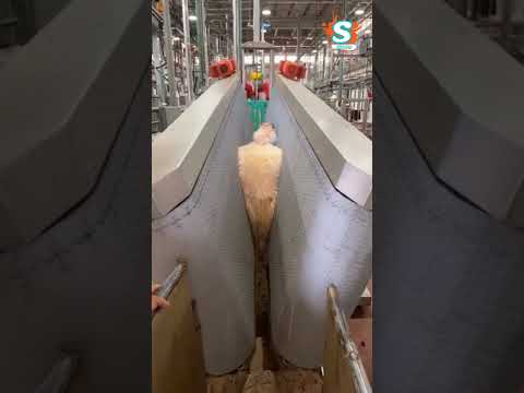 مسلخ للمواشي