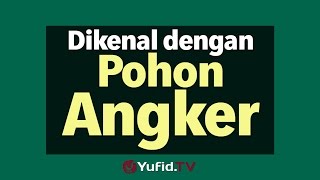 Dikenal dengan Pohon Angker - Poster Dakwah Yufid TV