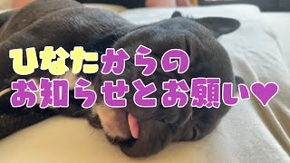 福島ブヒ会おやつPOST