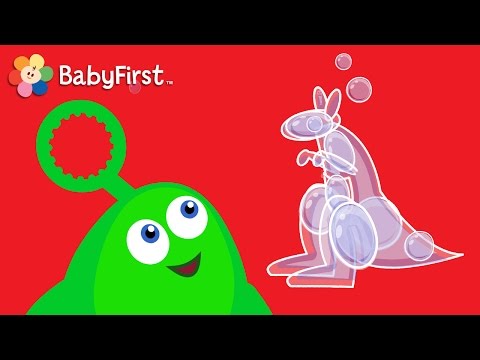 Kangaroo | Learning Cartoons for Babies | Bloop and Loop | BabyFirst TV