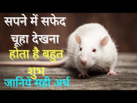 वीडियो: सफेद धातु चूहा के २०२० वर्ष के लिए संकेत