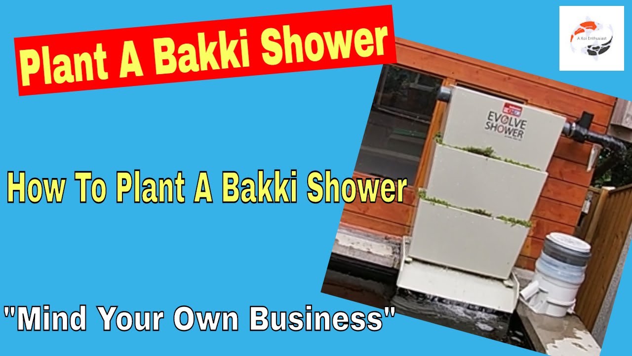 mind your own business plant bakki shower