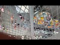 Beginning of video