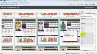 Pivot Viewer Functionality Demonstration with captions