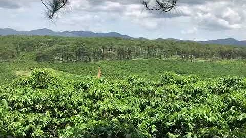 CẦN BÁN ĐẤT VIEW NGHỈ DƯỠNG TẠI BẢO LÂM – LÂM ĐỒNG. LIÊN HỆ: 0974255155