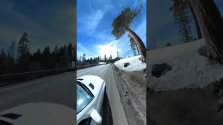 February 19, 2023 - South Lake Tahoe