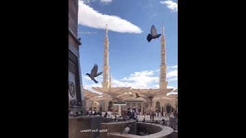تلاوة رائعة جدآ 🎧💯, حالات وأتس اب دينية, مقاطع أنستقرام أسلامية, مقاطع دينية قصيرة, قصص أيمو فيس