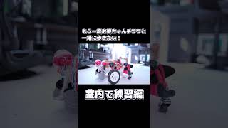 お散歩が大好きだったお婆ちゃんチワワと、もう一度一緒に歩きたい!