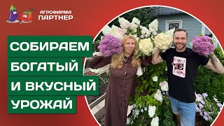 ЧТО ПОСАДИТЬ НА УЧАСТКЕ ЭТИМ ЛЕТОМ?