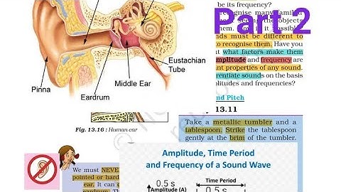 CBSE NCERT CLASS 8th SCIENCE CHAPTER 13 "SOUND" PART 2