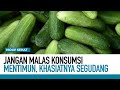 Jangan malas konsumsi mentimun khasiatnya segudang  hidup sehat