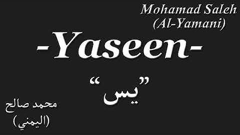 سورة يس - محمد صالح (اليمني)