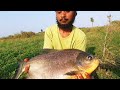 Incredible 4Kg monster pirana (Indian redbilled)fish catching||Awesome rupchanda fishes catching