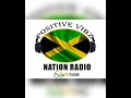 Positive vibz nation radio 